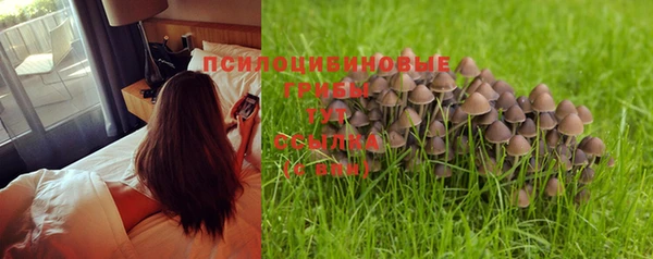 прущая мука Карталы