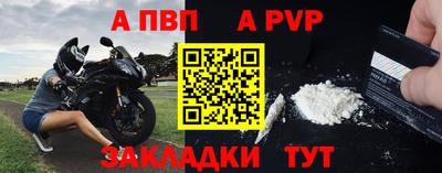 ешки Кингисепп