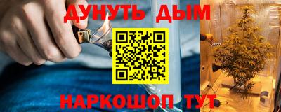 ешки Кингисепп