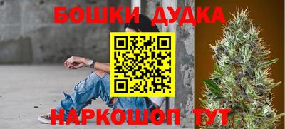 ешки Кингисепп