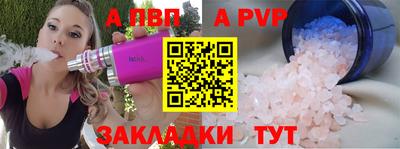 ешки Кингисепп