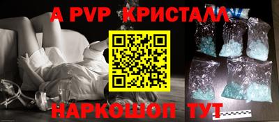 ешки Кингисепп