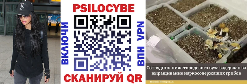 закладки hydra ONION Галлюциногенные грибы мицелий Кострома
