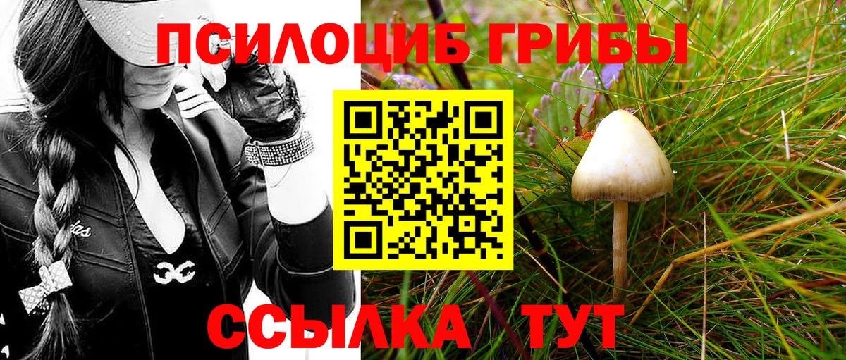 Псилоцибиновые грибы ЛСД  Псилоцибиновые грибы MAGIC MUSHROOMS  Вход с VPN  Кострома 