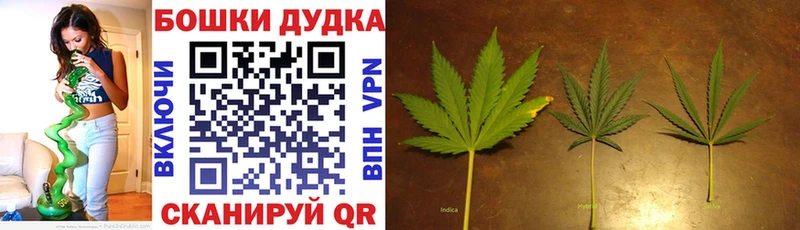 цена   hydra сайт  МАРИХУАНА Bruce Banner  Кострома 