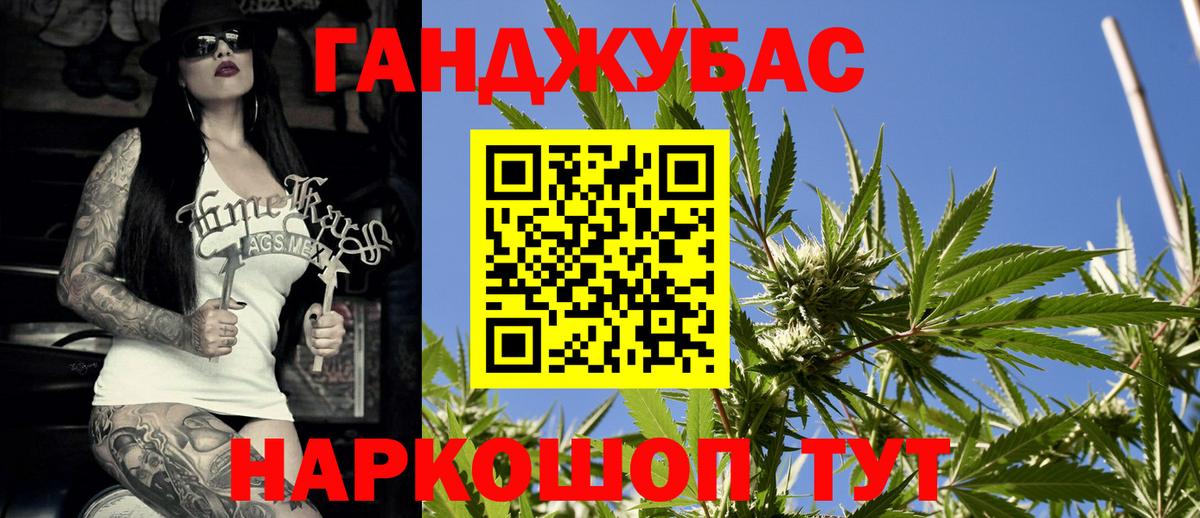 Бошки Шишки план Кострома